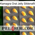 Kamagra Oral Jelly Sildenafil cialis2